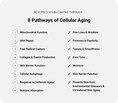 Load image into Gallery viewer, Aramore NAD+ Cell Energizing Supplement
