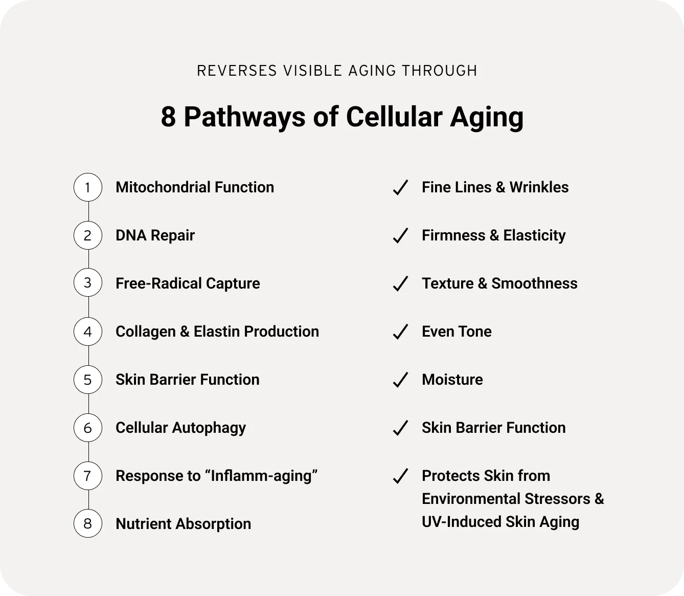 Aramore NAD+ Cell Energizing Supplement
