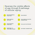 Load image into Gallery viewer, Aramore NAD+ Cell Energizing Supplement
